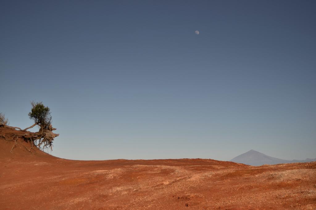 Casa Rural Las Rosas Agulo Kültér fotó